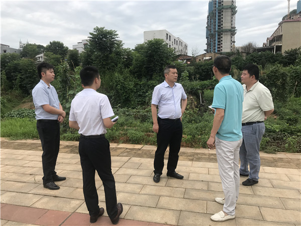 7月6日。黃勁松深入板塘片區(qū)重點項目調(diào)研.jpg