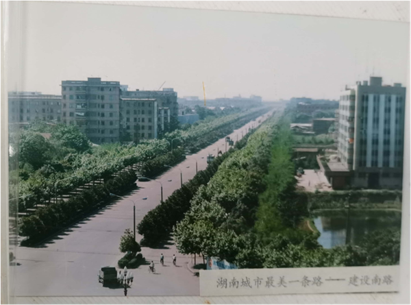 1982年修建的建設(shè)南路，曾被評為“湖南城市最美一條路”.png